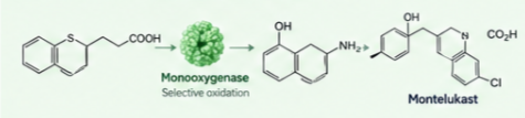 Montelukast enzyme conversion example