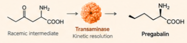 Pregabalin enzyme conversion example