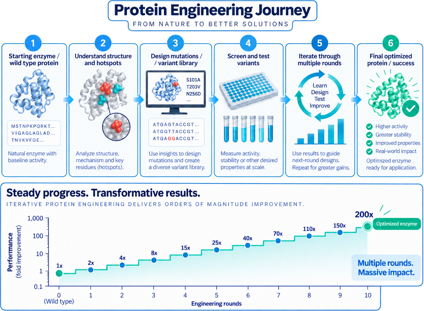 Protein engineering journey from wild type enzyme to optimized protein across 10 engineering rounds, reaching 200 times improvement